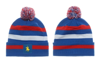 POLO Beanie Hats 19964