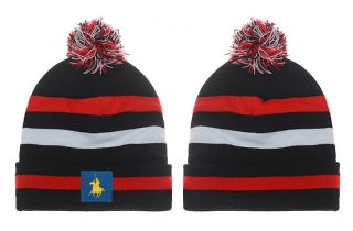 POLO Beanie Hats 19970