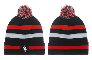 POLO Beanie Hats 20050