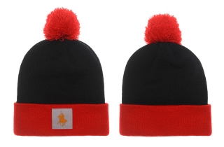 POLO Beanie Hats 20071