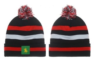 POLO Beanie Hats 20125