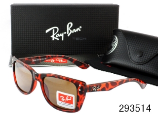 Ray Ban Sunglasses AAA Plastic Frame 38154