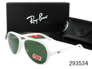 Ray Ban Sunglasses AAA Plastic Frame 38159