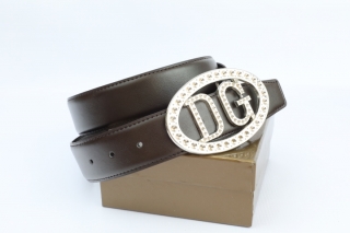 D&G AAA Belts 77564