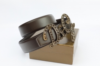 D&G AAA Belts 77834