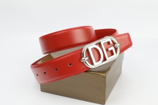 D&G AAA Belts 77842