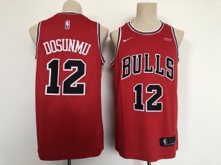 Chicago Bulls 12# Dosunmu NBA Jerseys 112197