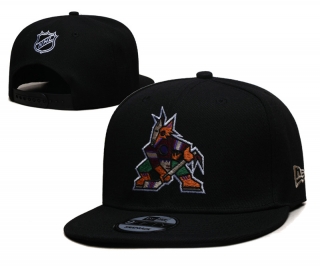 Arizona Coyotes NHL Snapback Hats 117832