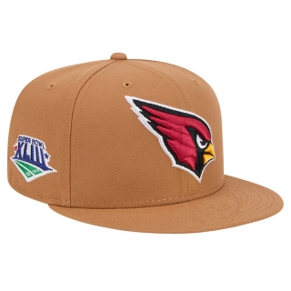 Arizona Cardinals NFL Snapback Hats 118719