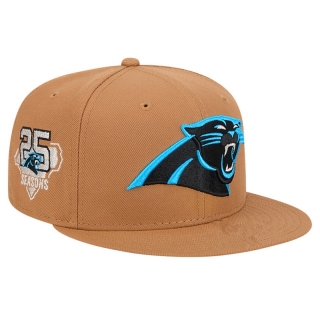 Carolina Panthers NFL Snapback Hats 118727