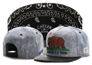 Cayler & Sons Snapback Hats 118847