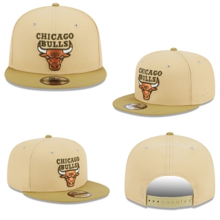 Chicago Bulls NBA Snapback Hats 119741